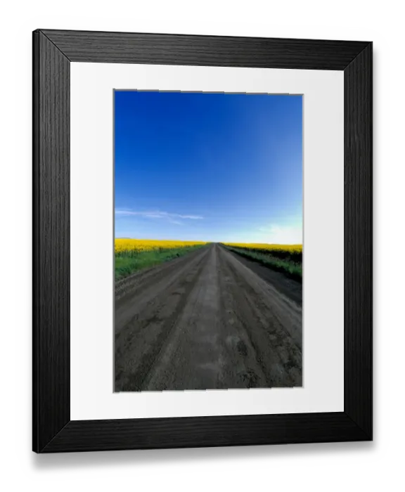 Framed Print : Na, USA, ID, Grangeville, Road Running through Canola Fields Framed Print : Na, USA, ID, Grangeville, Road Running through Canola Fields