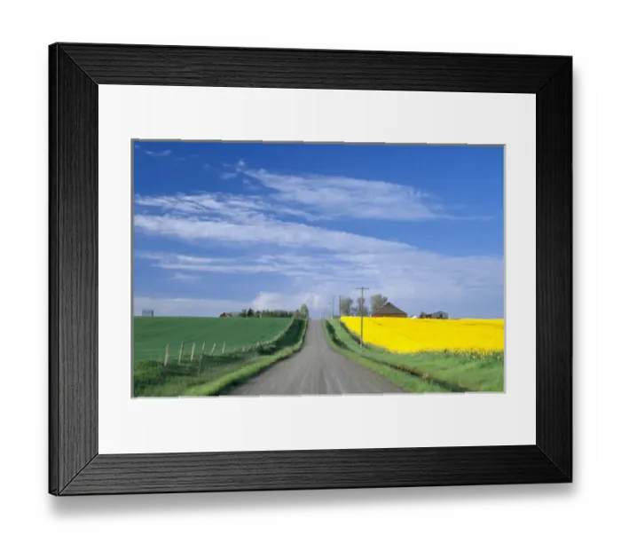 Framed Print : Na, USA, ID, Grangeville, Road Running through Canola & Wheat Fields