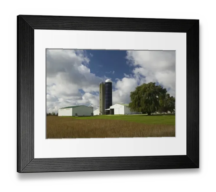 Framed Print : USA-Indiana-Sedan: Indiana Farm on SR 6  /  Autumn