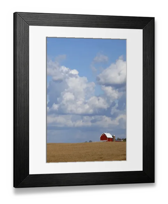 Framed Print : IA, Dubuque County, Red barn and cornfields Framed Print : IA, Dubuque County, Red barn and cornfields