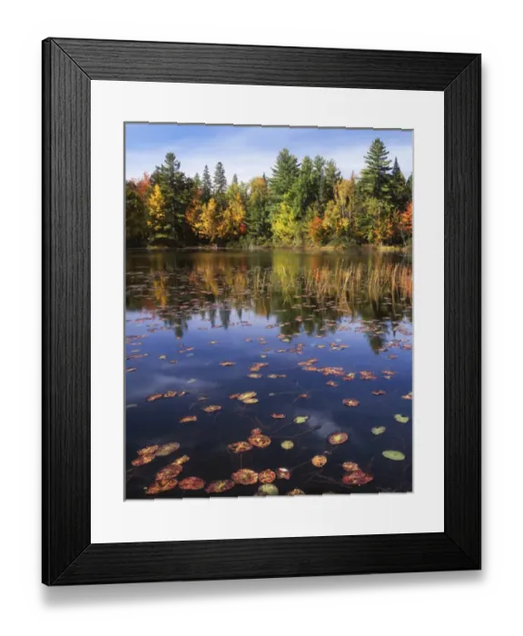 Framed Print : USA, Maine, Franklin County, Pond Framed Print : USA, Maine, Franklin County, Pond