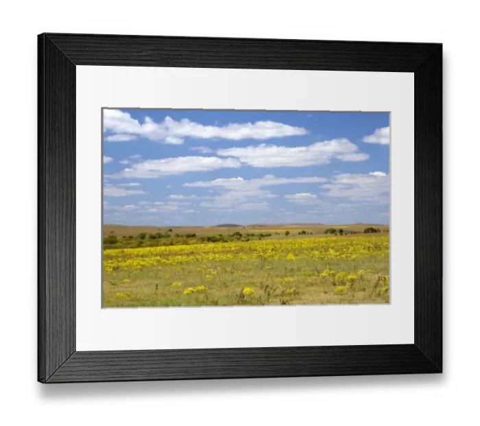 Framed Print : Kansas prairie along highway 77 south of Cottonwood