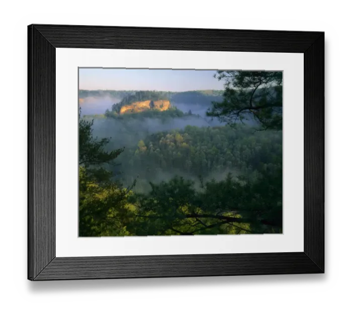 Framed Print : KENTUCKY. USA. Fog at sunrise, Red River Gorge. Daniel Boone National Forest Framed Print : KENTUCKY. USA. Fog at sunrise, Red River Gorge. Daniel Boone National Forest