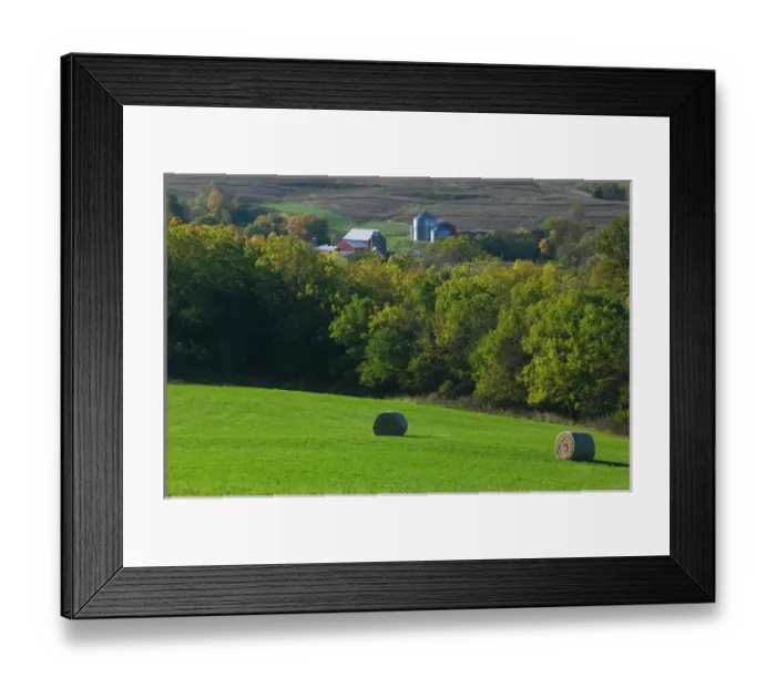 Framed Print : USA-IOWA-Rickardsville: Farm / Field along Rt. 52 / Northeast Iowa Framed Print : USA-IOWA-Rickardsville: Farm / Field along Rt. 52 / Northeast Iowa