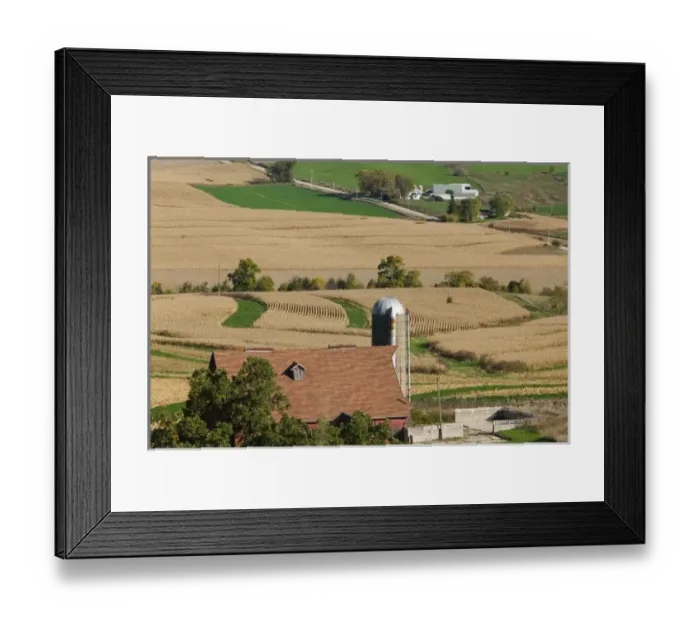 Framed Print : USA-IOWA-Rickardsville: Farm / Field along Rt. 52 / Northeast Iowa Framed Print : USA-IOWA-Rickardsville: Farm / Field along Rt. 52 / Northeast Iowa