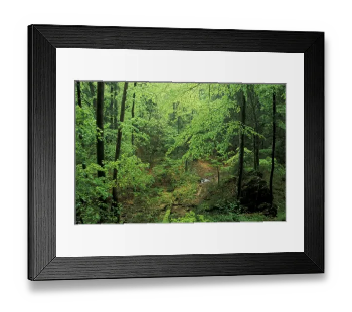 Framed Print : N. A. USA, Kentucky, Big South Fork National River and Recreation area Framed Print : N. A. USA, Kentucky, Big South Fork National River and Recreation area