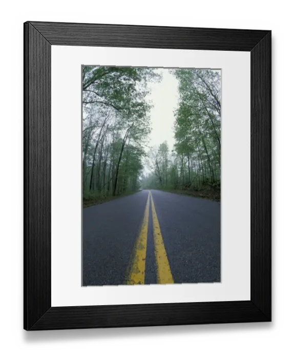 Framed Print : N. A. USA, Kentucky, Daniel Boone National Forest Road through forest in spring