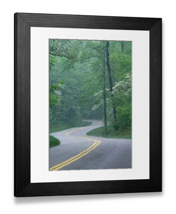 Framed Print : N. A. USA, Kentucky, Daniel Boone National Forest Road through forest in spring Framed Print : N. A. USA, Kentucky, Daniel Boone National Forest Road through forest in spring