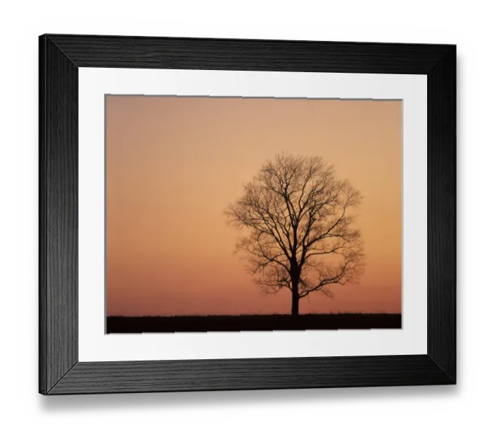 Framed Print : N. A. USA, Kentucky, Lexington Single tree on ridge at sunset Framed Print : N. A. USA, Kentucky, Lexington Single tree on ridge at sunset