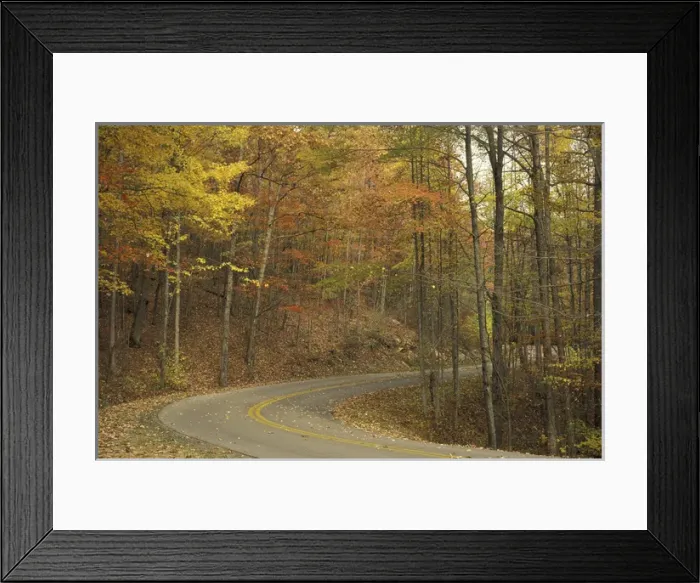 Framed Print : NA, USA, Kentucky, Pine Mountain State Park Road winding through autumn colors Framed Print : NA, USA, Kentucky, Pine Mountain State Park Road winding through autumn colors