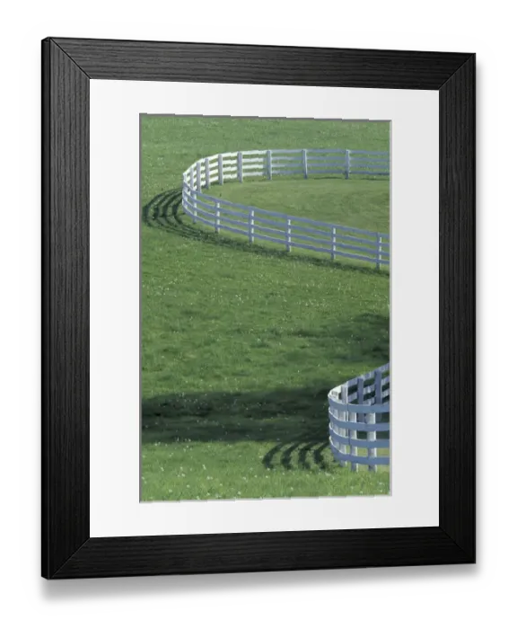 Framed Print : NA, USA, Kentucky, Lexington White fence on horse farm (Not property released)