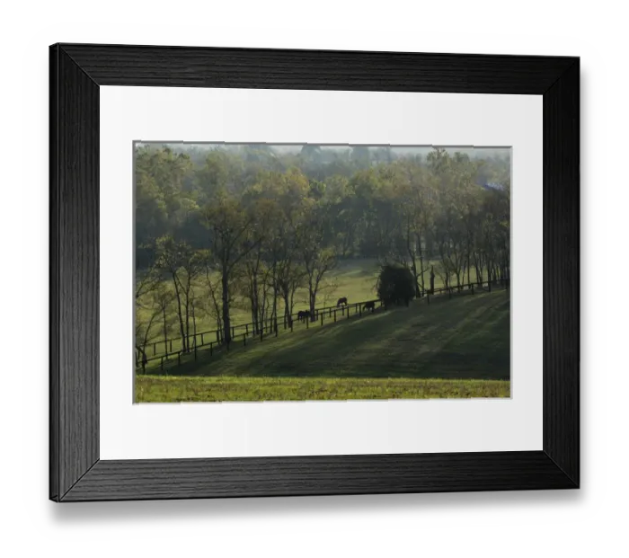 Framed Print : Fences and horse pastures at sunrise, Bluegrass region around Lexington, Kentucky Framed Print : Fences and horse pastures at sunrise, Bluegrass region around Lexington, Kentucky