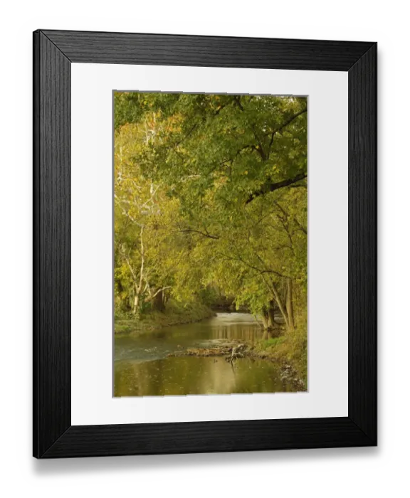 Framed Print : Small creek at sunrise, Bluegrass region near Lexington, Kentucky Framed Print : Small creek at sunrise, Bluegrass region near Lexington, Kentucky