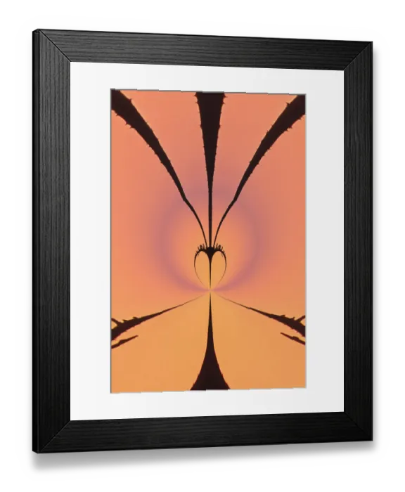 Framed Print : Winter sunrise silhouetting Teasel plant, Kentucky Framed Print : Winter sunrise silhouetting Teasel plant, Kentucky