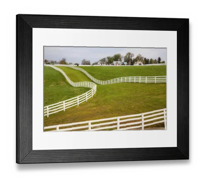 Framed Print : White fence on Calumet Horse Farm, Lexington, Kentucky
