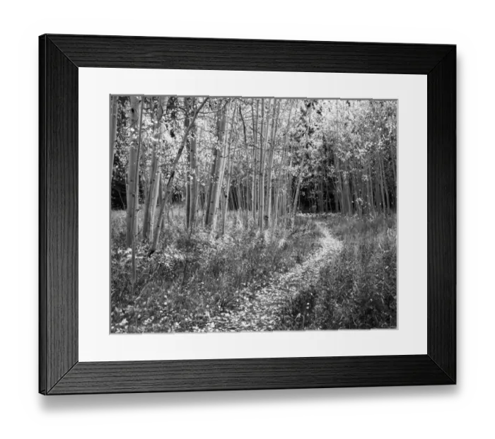Framed Print : USA, Kentucky, Louisville, View of road Framed Print : USA, Kentucky, Louisville, View of road