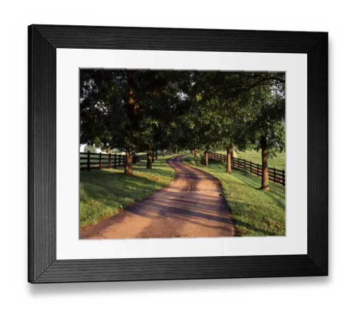 Framed Print : USA, Kentucky, Bluegrass Region, View of Tree line and country lane at dawn Framed Print : USA, Kentucky, Bluegrass Region, View of Tree line and country lane at dawn