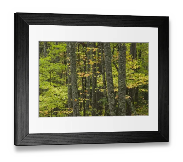 Framed Print : USA-Kentucky-Pineville: Pine Mountain State Resort Park- Autumn Framed Print : USA-Kentucky-Pineville: Pine Mountain State Resort Park- Autumn