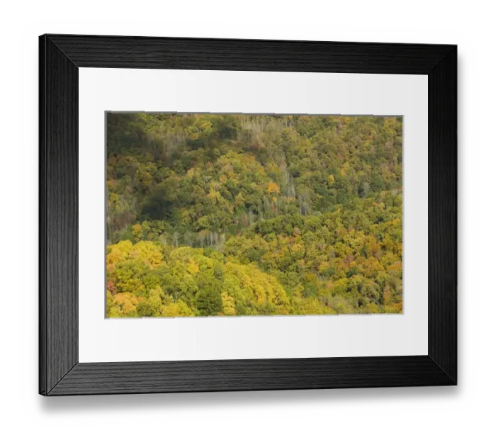 Framed Print : USA-Kentucky-Oven Fork: Autumn View of the Appalachian Mountains Framed Print : USA-Kentucky-Oven Fork: Autumn View of the Appalachian Mountains