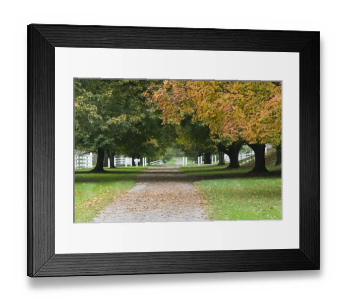 Framed Print : USA-Kentucky-Harrodsburg: Shaker Village of Pleasant Hill- Main Street