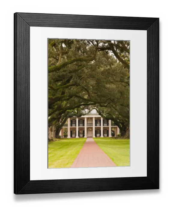 Framed Print : USA, Louisiana, Vacherie. Oak Alley Plantation, anti-bellum River Road mansion Framed Print : USA, Louisiana, Vacherie. Oak Alley Plantation, anti-bellum River Road mansion