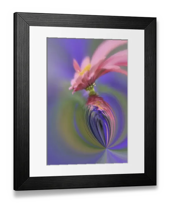 Framed Print : Fantasy version of Single Common Zinnia flower in garden with out of foucs flower background