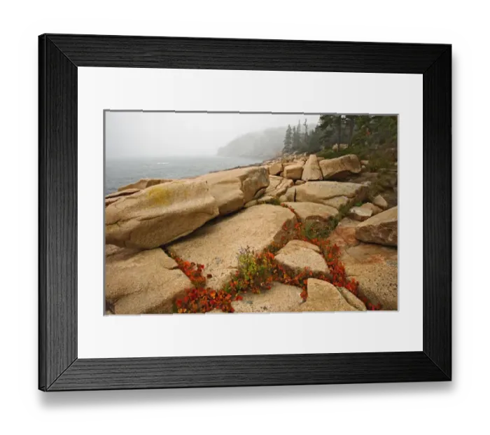 Framed Print : Granite bouders and distant Otter Cliff, among fog along coastline of Acadia National Park Framed Print : Granite bouders and distant Otter Cliff, among fog along coastline of Acadia National Park