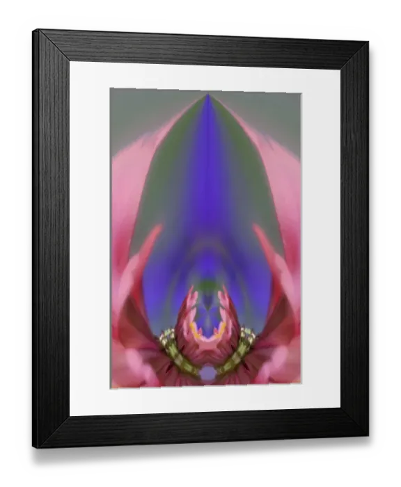 Framed Print : Fantasy version of Single Common Zinnia flower in garden with out of foucs flower background