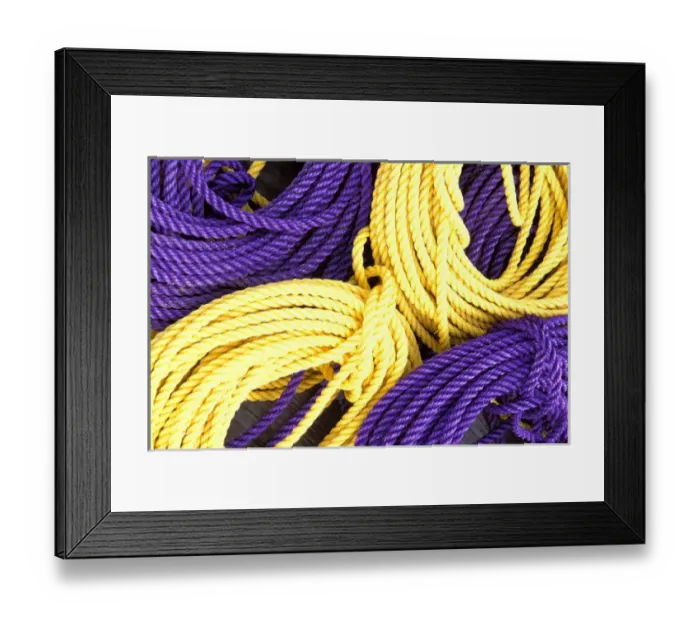 Framed Print : North America; USA; Maine Lobster Ropes Framed Print : North America; USA; Maine Lobster Ropes