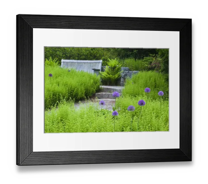 Framed Print : USA, Maine, Northeast Harbor. Wooden bench in Thuya Garden. Credit as: Nancy Rotenberg