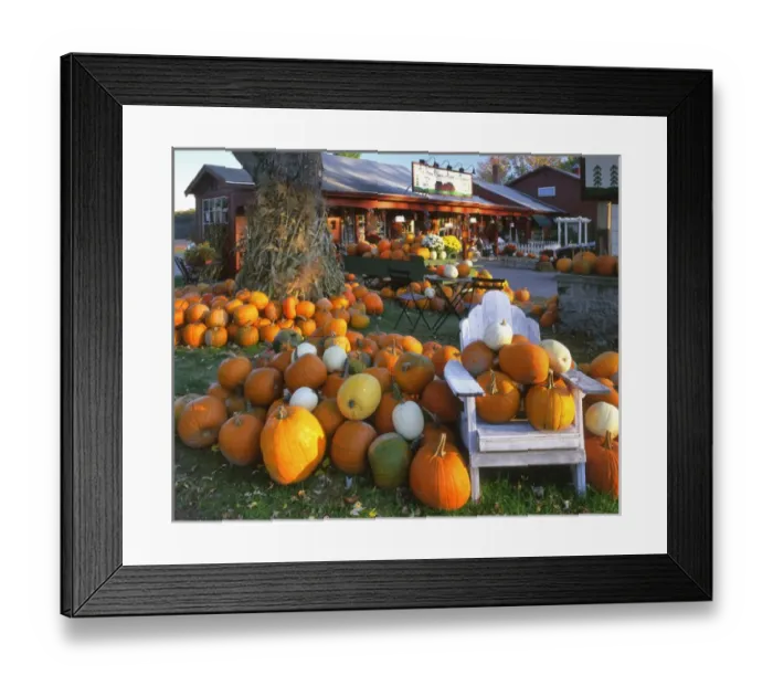 Framed Print : USA, New England, Maine, Wells. Autumn display of pumpkins at store. Credit as: Steve Framed Print : USA, New England, Maine, Wells. Autumn display of pumpkins at store. Credit as: Steve