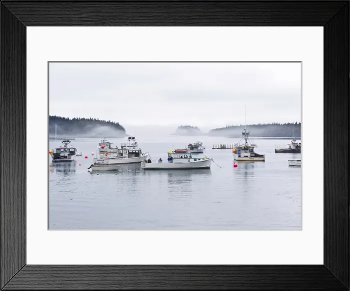Framed Print : Lobster and fishing boats at Cutler, Maine, USA