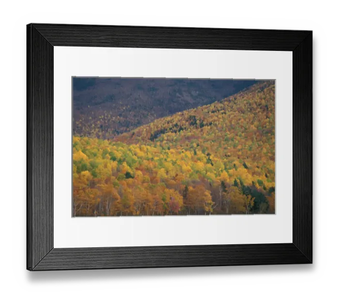 Framed Print : Lower South Branch Pond, Baxter S. P. ME. Fall colors in a northern hardwoods forest