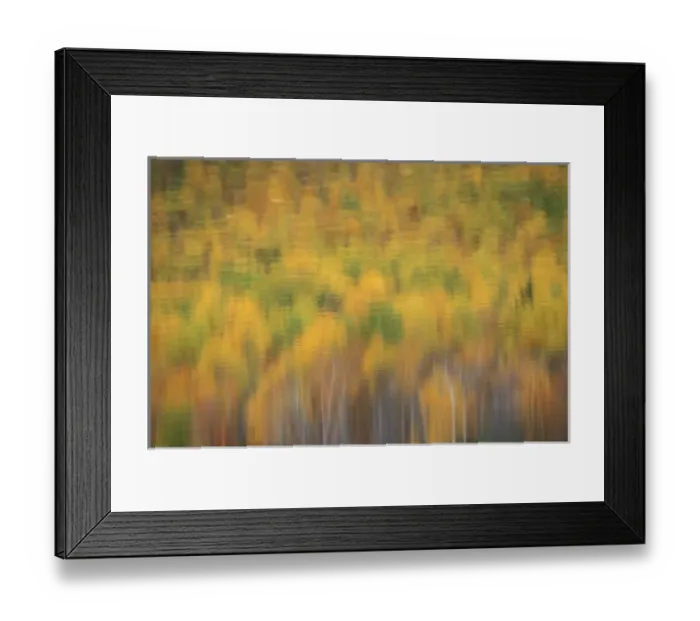 Framed Print : Lower South Branch Pond, Baxter S. P. ME. Reflections. Fall Foliage. Fall colors Framed Print : Lower South Branch Pond, Baxter S. P. ME. Reflections. Fall Foliage. Fall colors