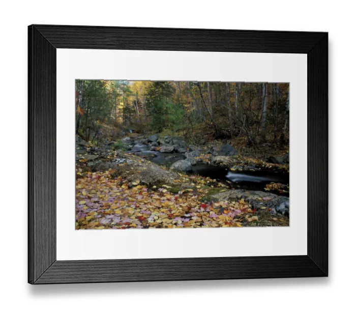 Framed Print : Howe Brook, Baxter State Park, ME. A stream in fall