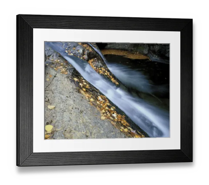 Framed Print : Howe Brook, Baxter State Park, ME. A stream in fall
