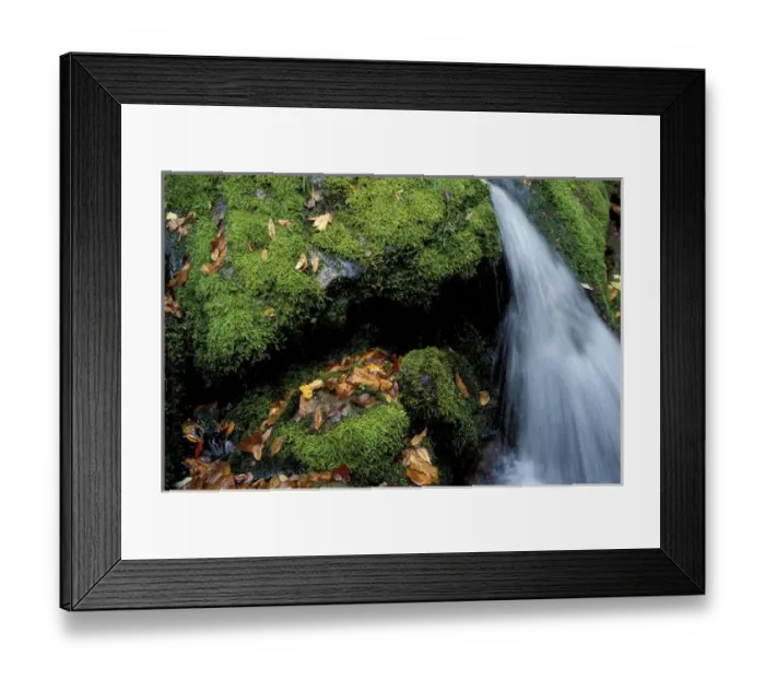 Framed Print : Greene Falls, Baxter S. P. ME. Fall in the Northern Forest Framed Print : Greene Falls, Baxter S. P. ME. Fall in the Northern Forest
