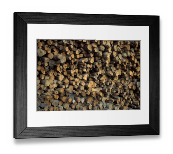 Framed Print : Ashland, ME. Sawmill. Logs at the J. Paul Levesque saw-mill