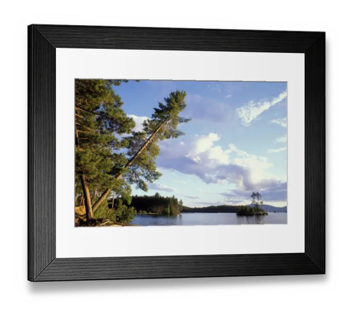 Framed Print : North America, US, ME, Northern Forest. Lily Bay on Moosehead Lake. Lily Bay State Park