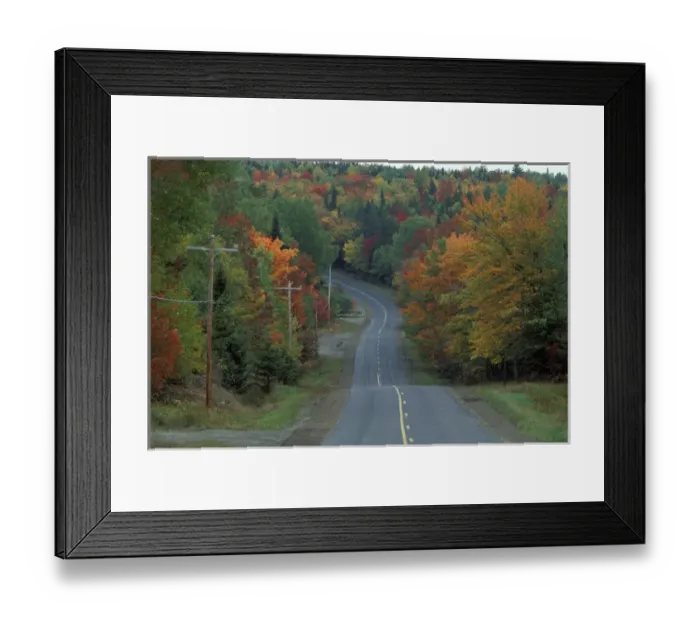 Framed Print : Near Patten, ME. Northern Forest. Fall foliage lines the road Framed Print : Near Patten, ME. Northern Forest. Fall foliage lines the road