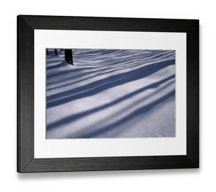 Framed Print : North New Portland, ME. Snow. Shadows. Northern Hardwood Forest. Northern Forest Framed Print : North New Portland, ME. Snow. Shadows. Northern Hardwood Forest. Northern Forest