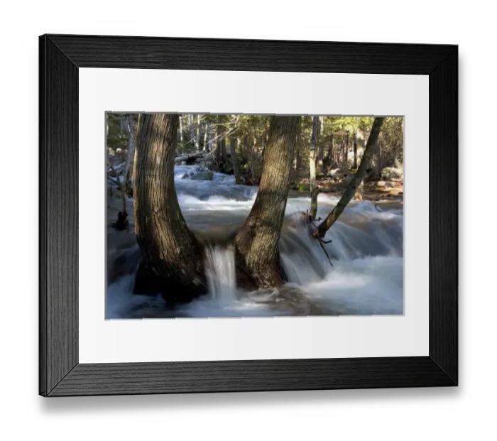 Framed Print : Jordan Stream after heavy rains in spring. Acadia National Park in Maine
