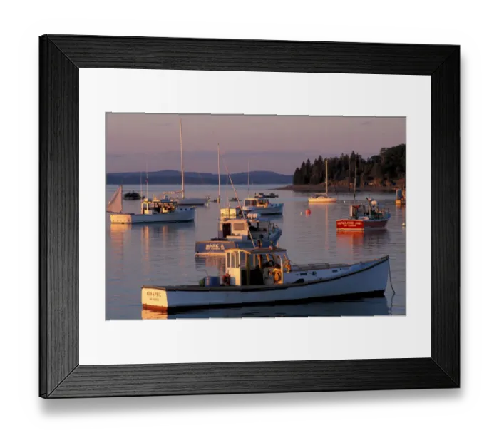Framed Print : Fishing boats in Bar Harbor. Bar Harbor, ME Framed Print : Fishing boats in Bar Harbor. Bar Harbor, ME