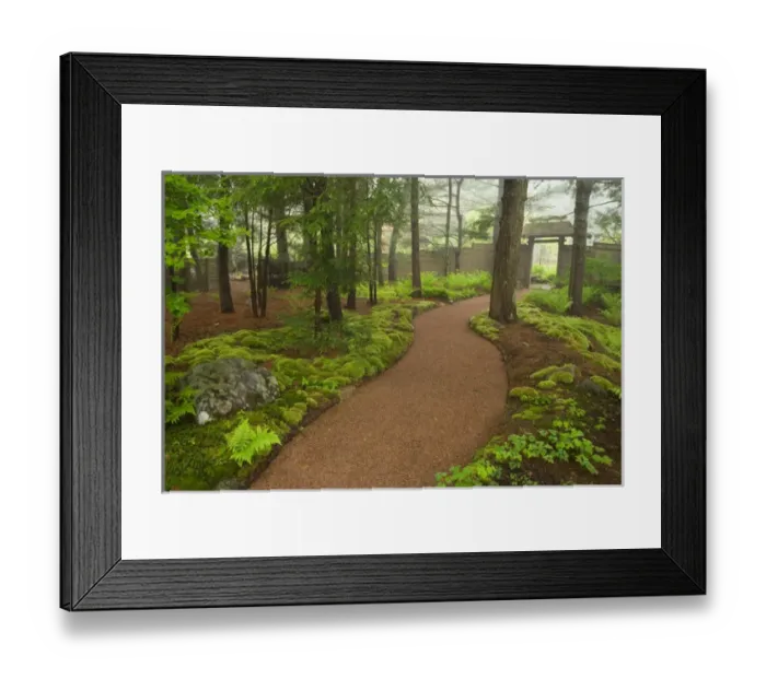 Framed Print : Asticou Azalea Gardens in Northeast Harbor, Maine. Near Acadia National Park on Mt Framed Print : Asticou Azalea Gardens in Northeast Harbor, Maine. Near Acadia National Park on Mt