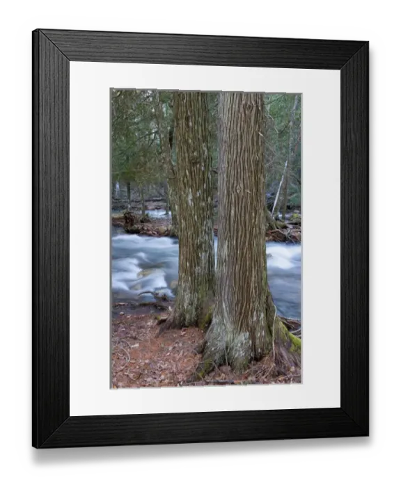 Framed Print : Jordan Stream after heavy rains in spring. Acadia National Park in Maine Framed Print : Jordan Stream after heavy rains in spring. Acadia National Park in Maine