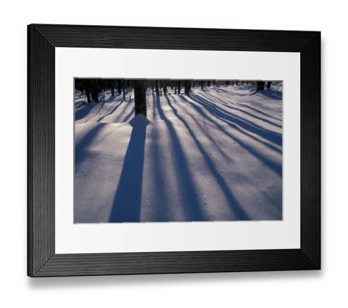 Framed Print : North New Portland, ME. Snow. Shadows. Northern Hardwood Forest. Northern Forest Framed Print : North New Portland, ME. Snow. Shadows. Northern Hardwood Forest. Northern Forest