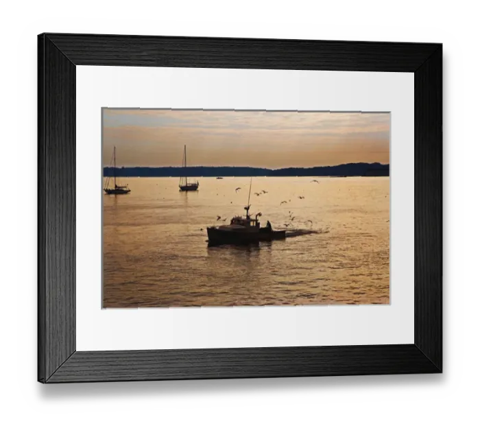 Framed Print : A typical day in the Portland Harbor Framed Print : A typical day in the Portland Harbor