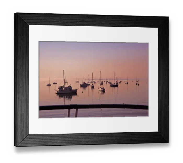 Framed Print : Sailing into Belfast enjoying the Maine sites Framed Print : Sailing into Belfast enjoying the Maine sites