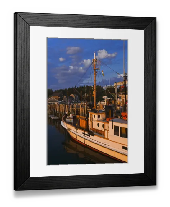 Framed Print : Port Clyde in the evening light Framed Print : Port Clyde in the evening light
