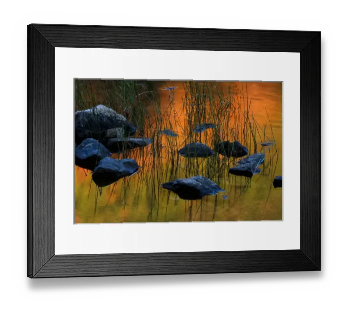 Framed Print : ME Acadia NP, Fall reflections with rocks and reeds at Bubble Pond Framed Print : ME Acadia NP, Fall reflections with rocks and reeds at Bubble Pond